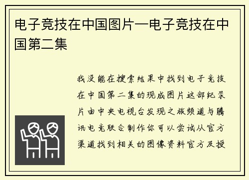 电子竞技在中国图片—电子竞技在中国第二集
